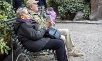 Ældre par på bænk i en park